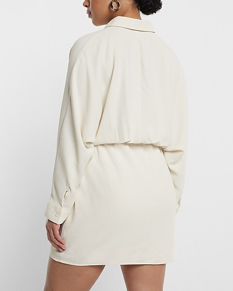 Collared Half Button Up Mini Portofino Shirt Dress | Express