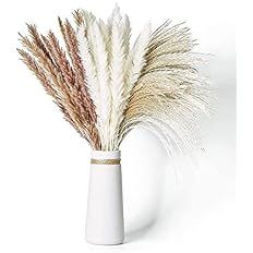 Dried Pampas Grass, 60 Pcs Natural Pampas Grass with 3 Colors Fluffy Swinging DIY Boho Plant 17" ... | Amazon (US)