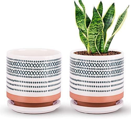 Succulent Pots, Small Flower Pots Indoor, 5 Inch Ceramic Planter Plant Pot with Porcelain Tray, D... | Amazon (US)
