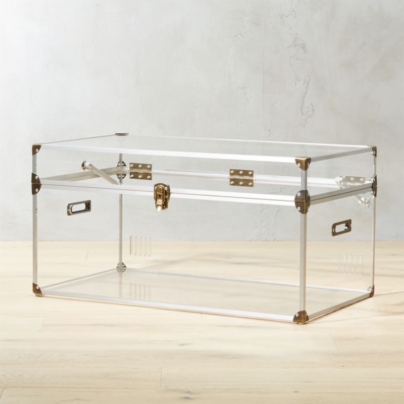 Mod Large Clear Acrylic Locker Trunk + Reviews | CB2 | CB2
