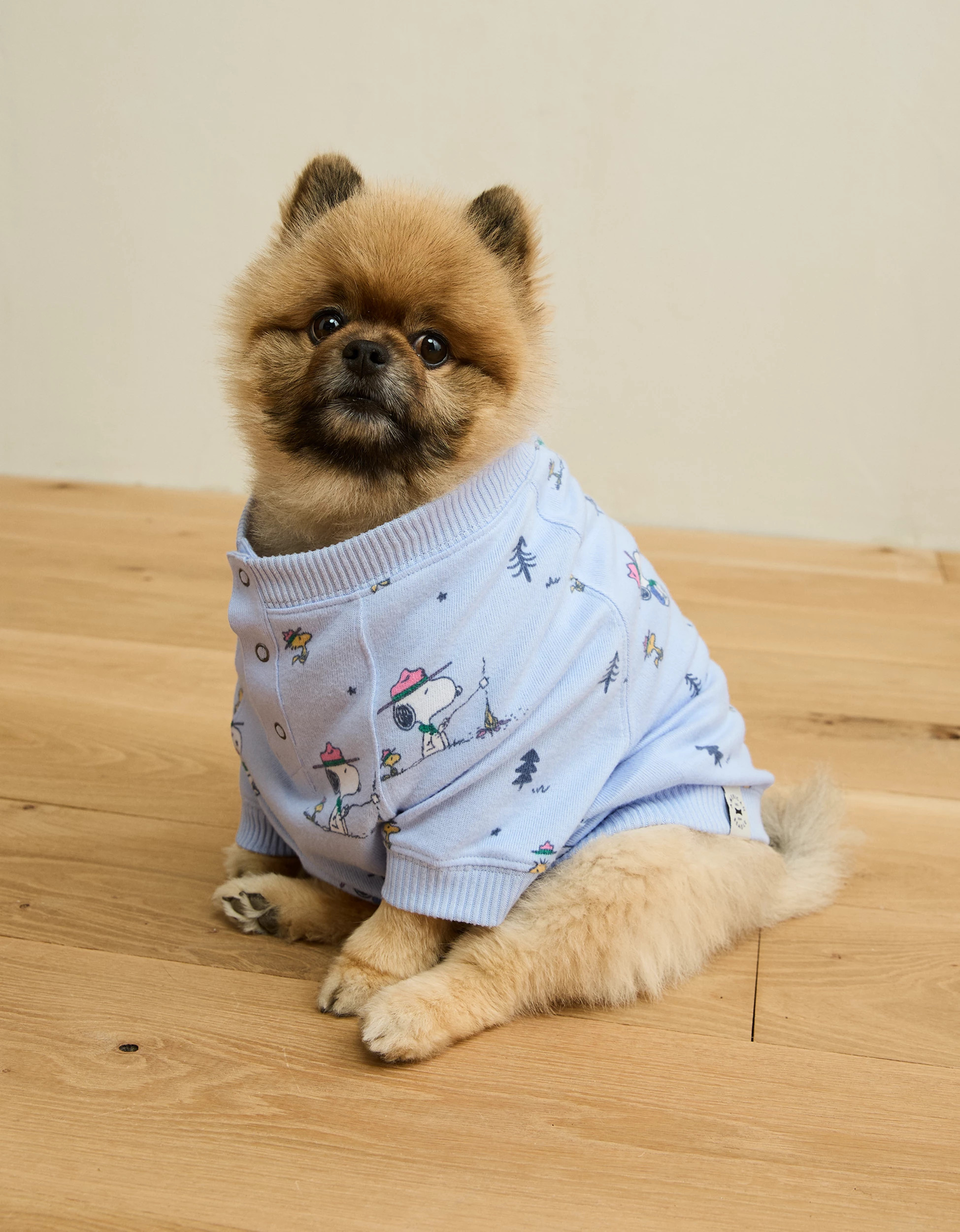 ABO Snoopy Plush PJ Top | American Eagle Outfitters (US & CA)
