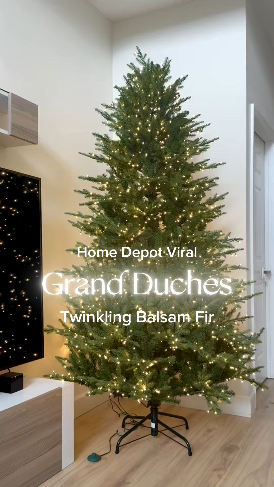 The Home Depot Grand Duches Twinkling Viral Christmas Tree is back in stock! Totally obsessed with this tree!😍

#LTKHome #LTKHoliday #LTKSeasonal