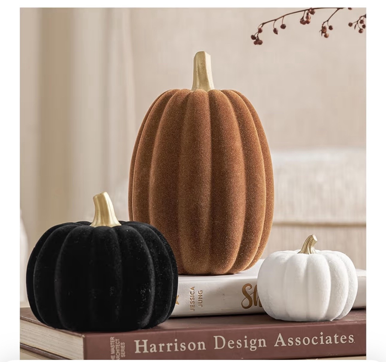 Fall vibes!!
#ltkhome 

#LTKHalloween #LTKHome #LTKSeasonal