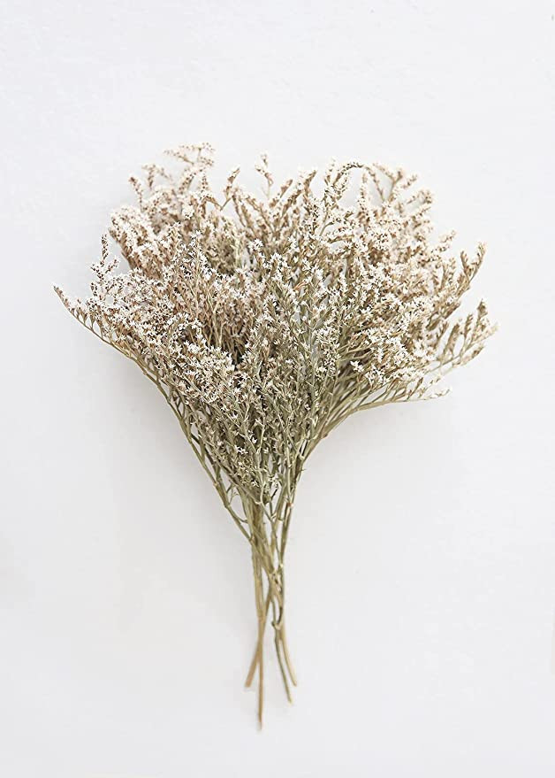 Dried German Statice | Amazon (US)