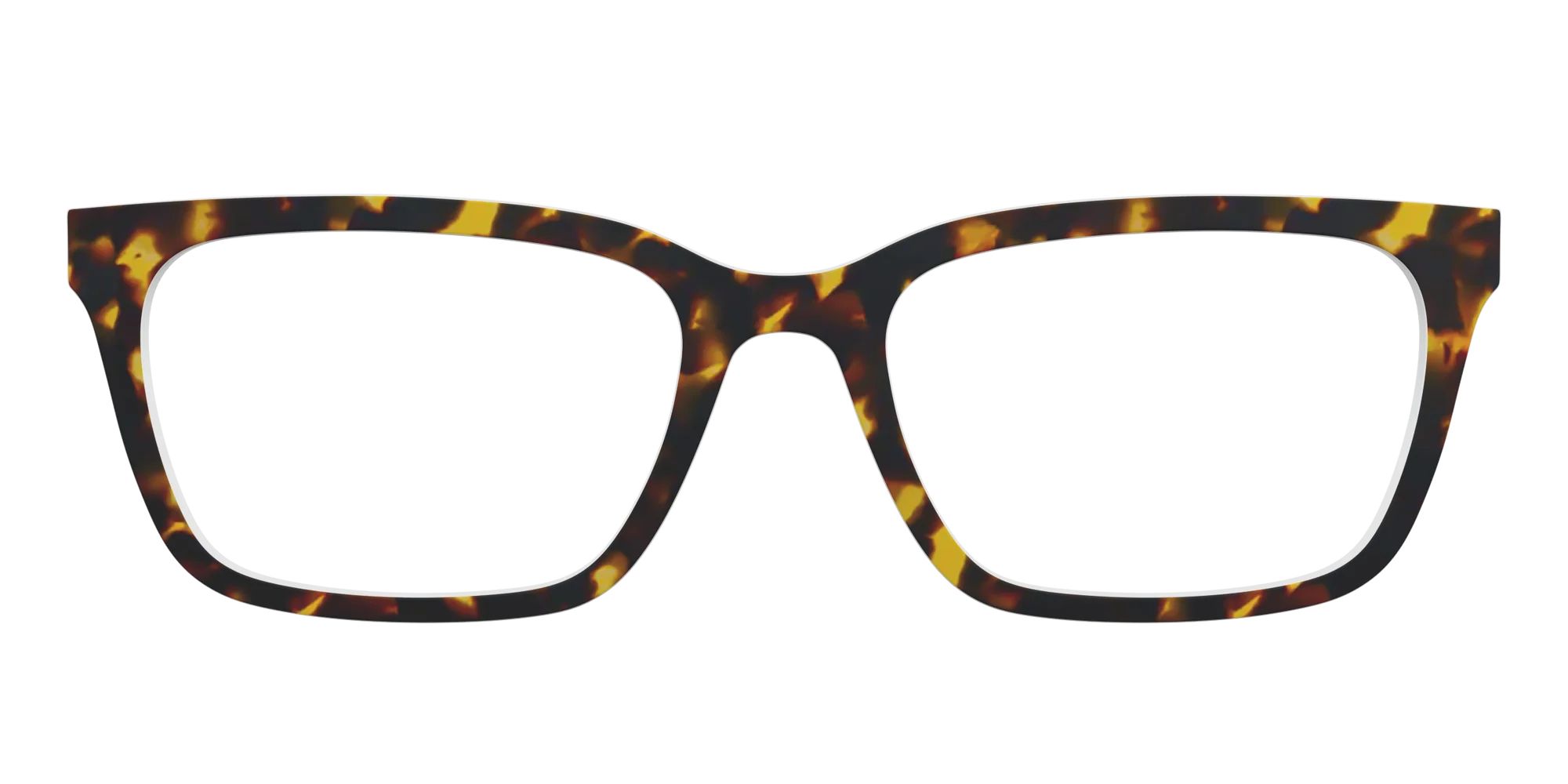 The Tortoise | Pair Eyewear