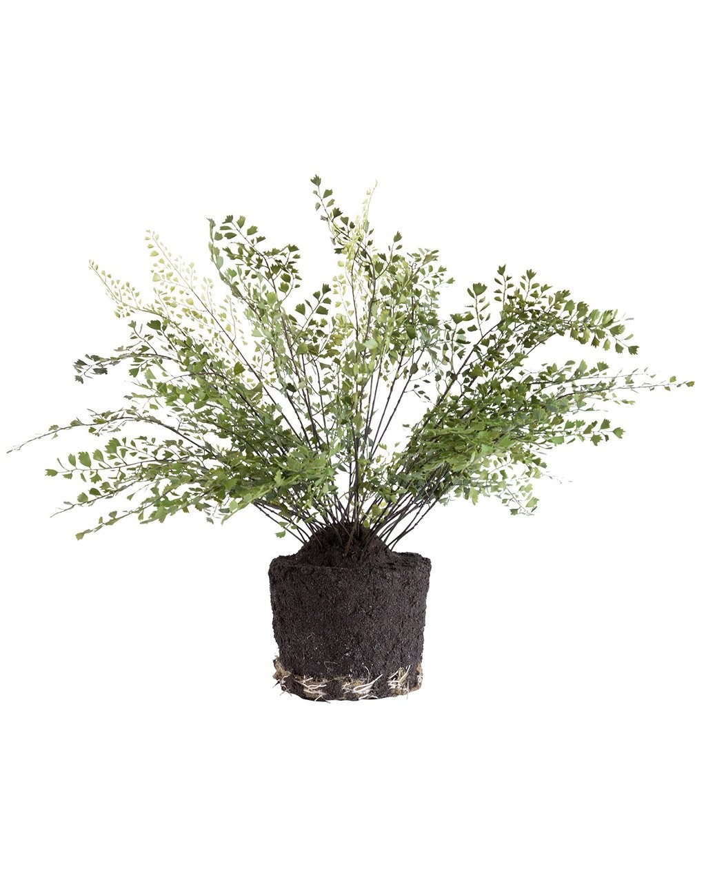 Faux Maiden Hair Drop-In | McGee & Co.