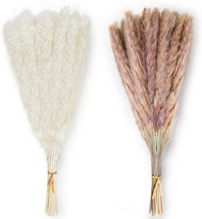 Timoo White Pampas Grass & Brown Pampas Grass Decor, Natural Dried Pampas Grass Bundles Small Flu... | Amazon (US)
