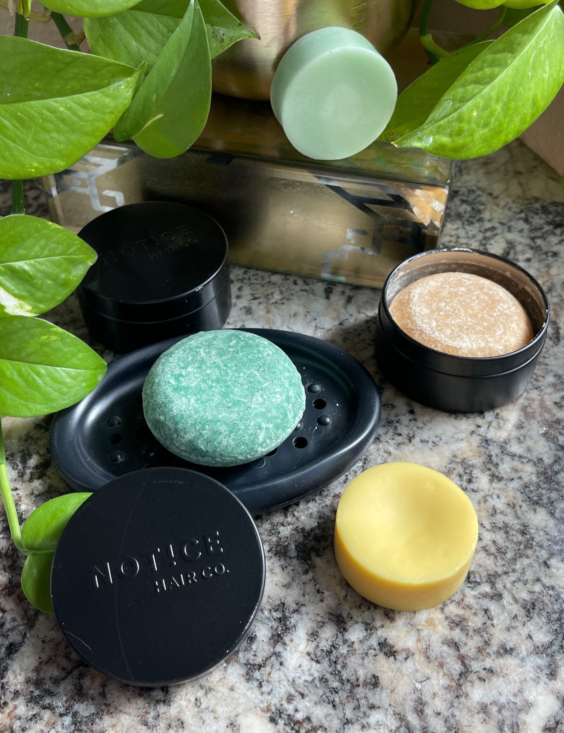 Swapping out plastic bottles for  @noticehair.co’s hair care products for a plastic free tomorrow. 

Their shampoo and conditioner come in perfect travel size tins.

Take the quiz to find out which products match your hair care best!

Swapping out for better products for the planet. No plastic here! 

#plasticfree #hair #haircare #noticehairco #NoticeHairCoPartner #ad #TheBalancer