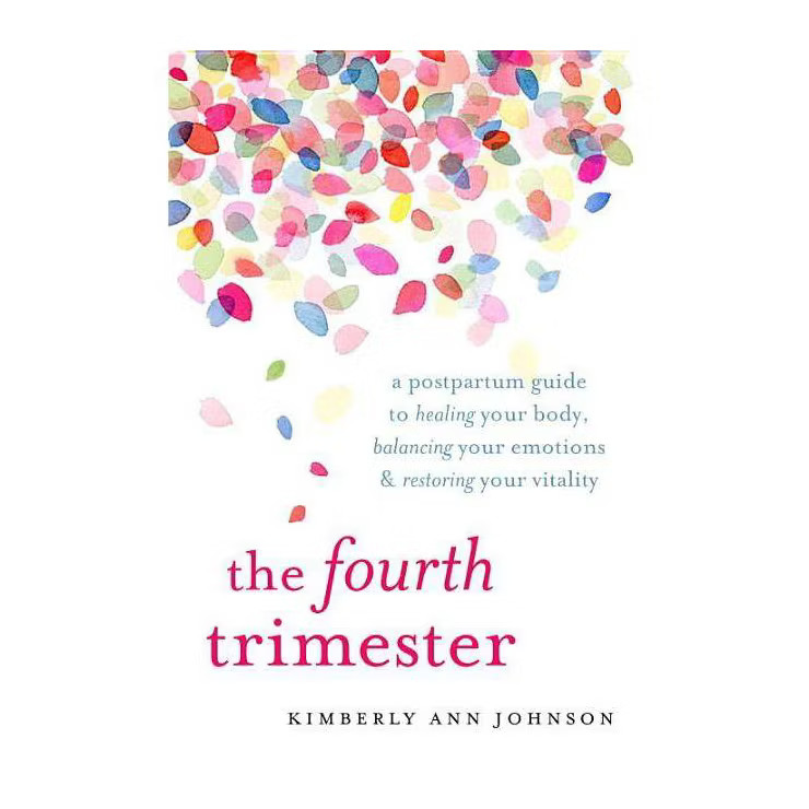 The Fourth Trimester - by  Kimberly Ann Johnson (Paperback) | Target