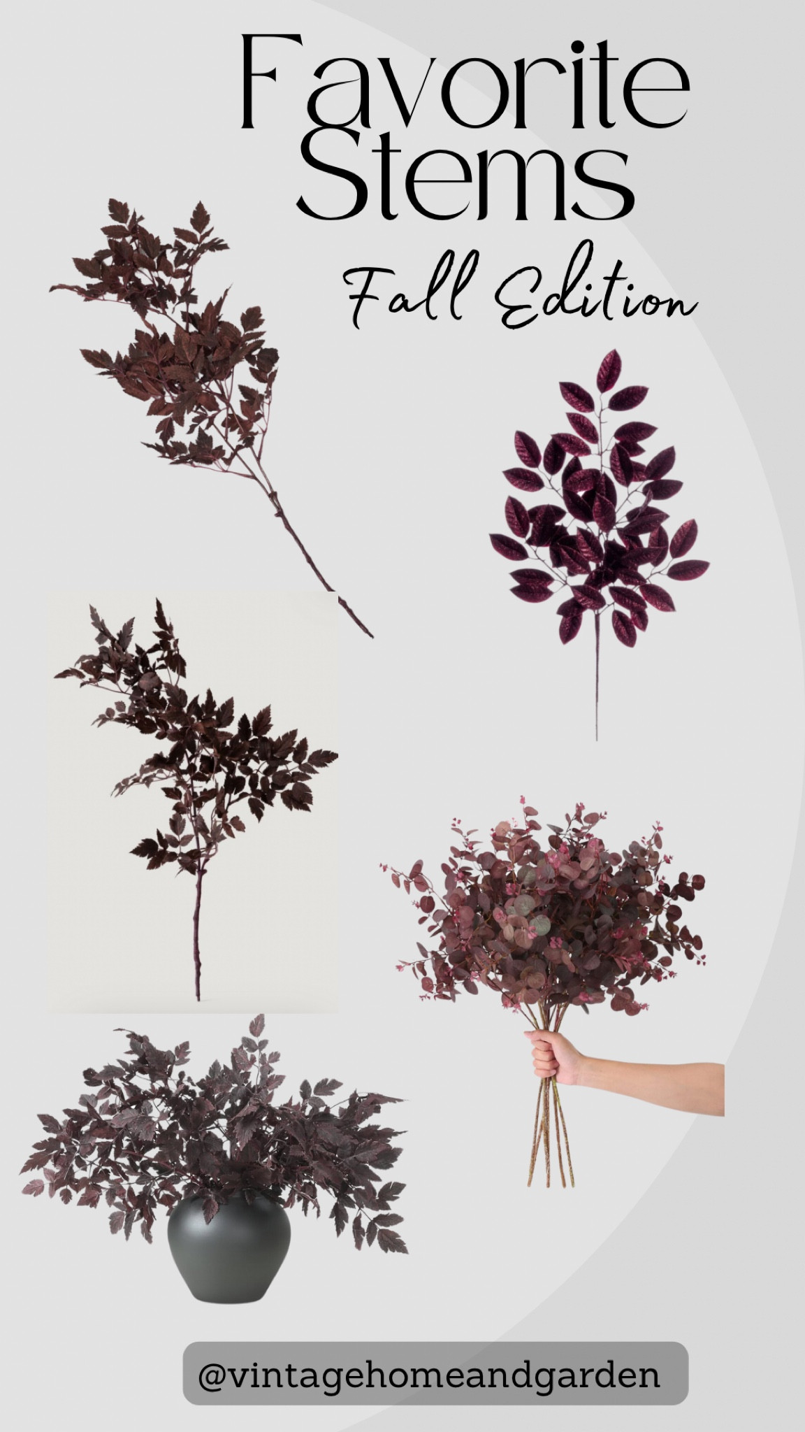 Favorite Fall Stems

#Fallstems #Fall #fallhomedecor #interiordecor #burgandystems #fallfoilage

#LTKFindsUnder50 #LTKHome #LTKSeasonal