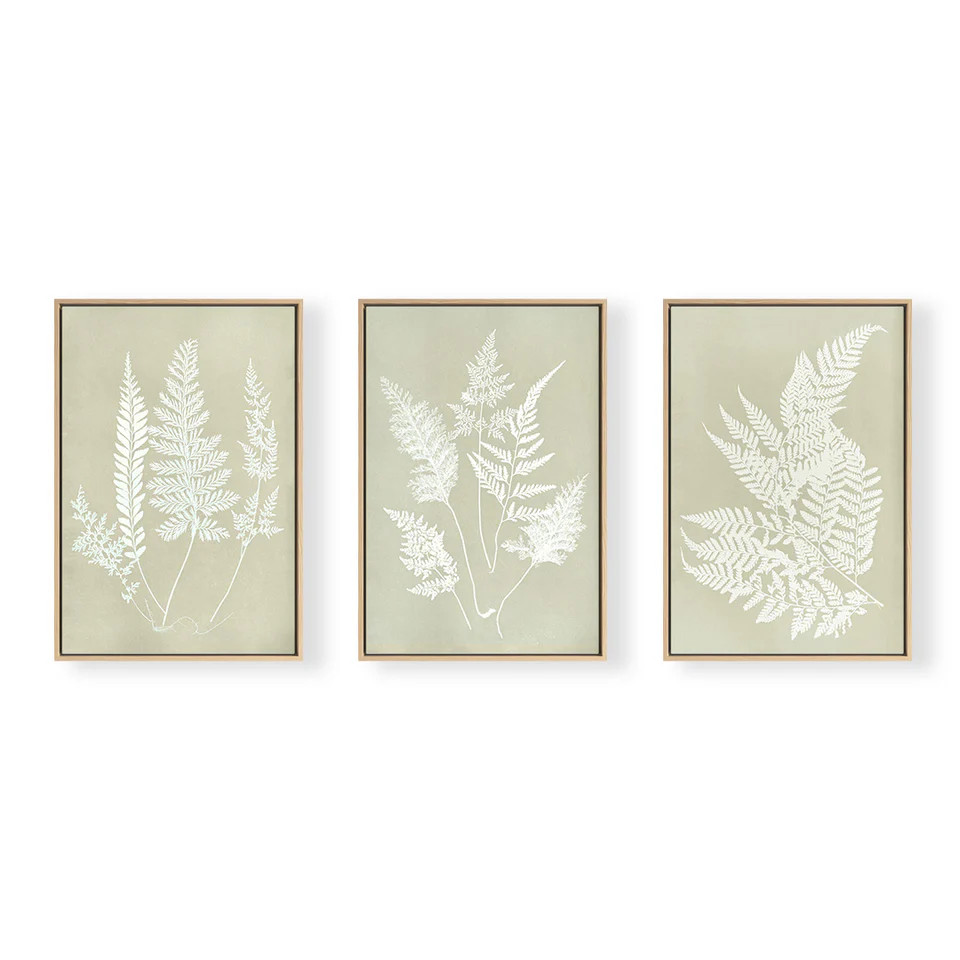 Hued Fern Trio | Modern Garden Art Set of 3 | Urban Garden Prints