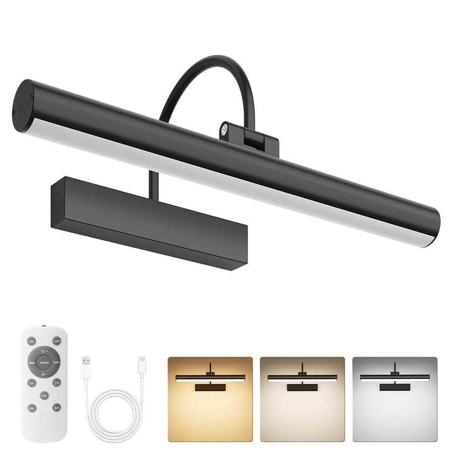 Bridika Picture Light for Wall with Remote, Rechargeable Battery Operated Picture Light, 3 Color ... | Amazon (US)