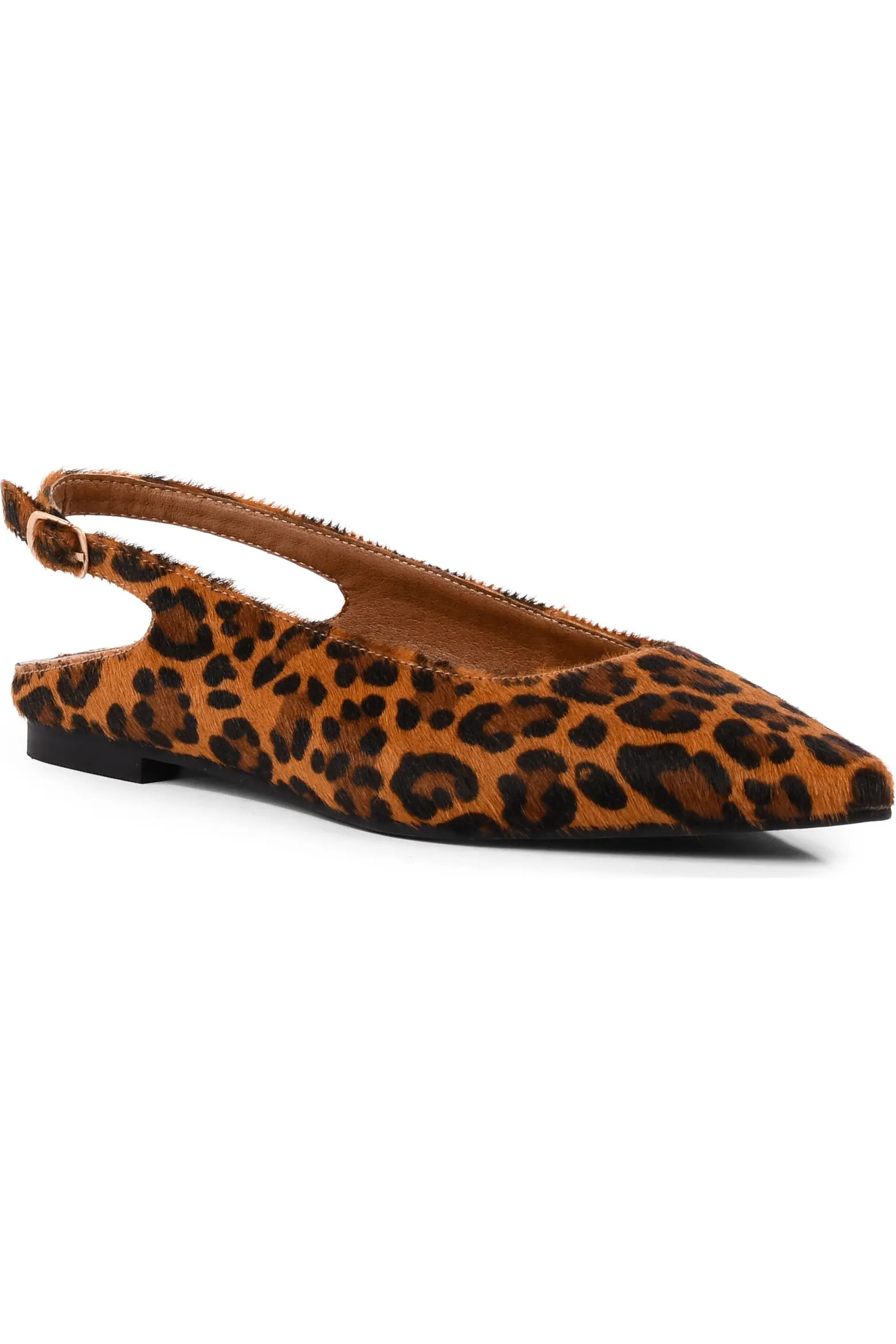 Seychelles Alameda Pointed Toe Slingback Flat (Women) | Nordstrom | Nordstrom