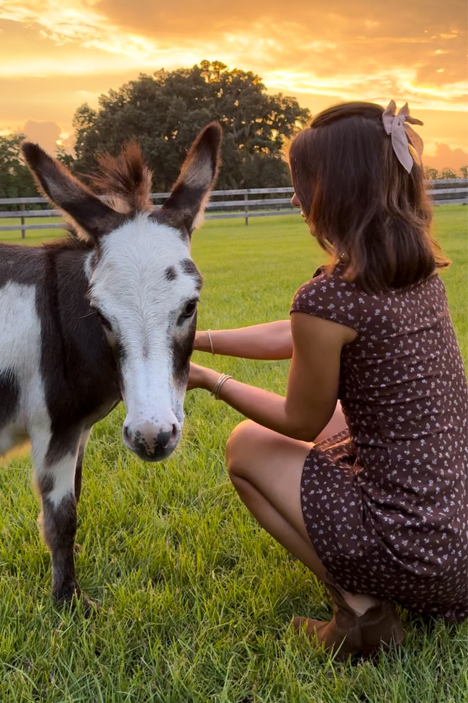 $10 dress size XS
Booties size 7
Target heart necklace
Walmart butterfly necklace 

#laurabeverlin #countryconcertoutfit