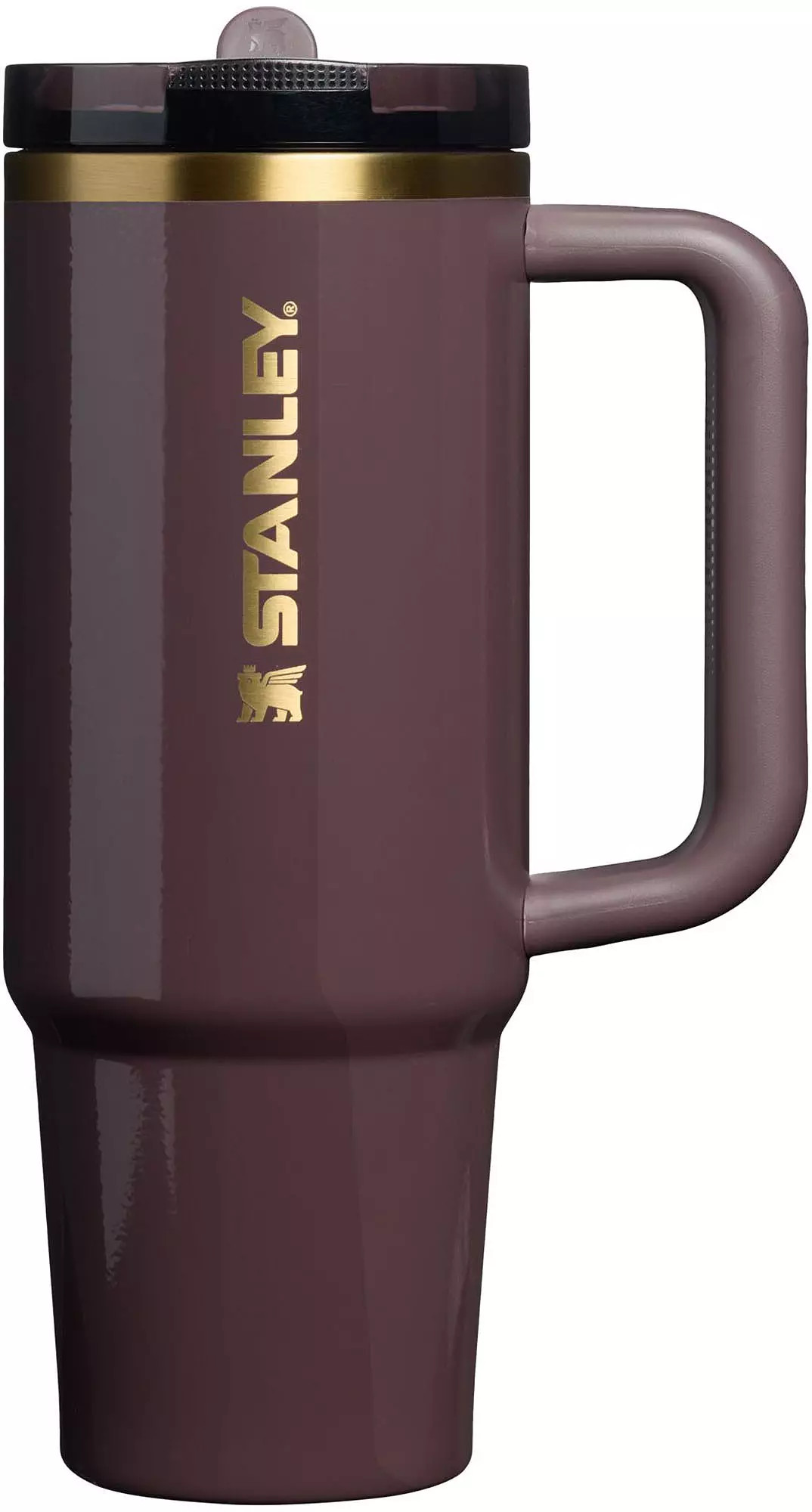 Stanley 30 oz. Quencher ProTour Flip Straw Tumbler - Fall Refresh | DICK'S Sporting Goods