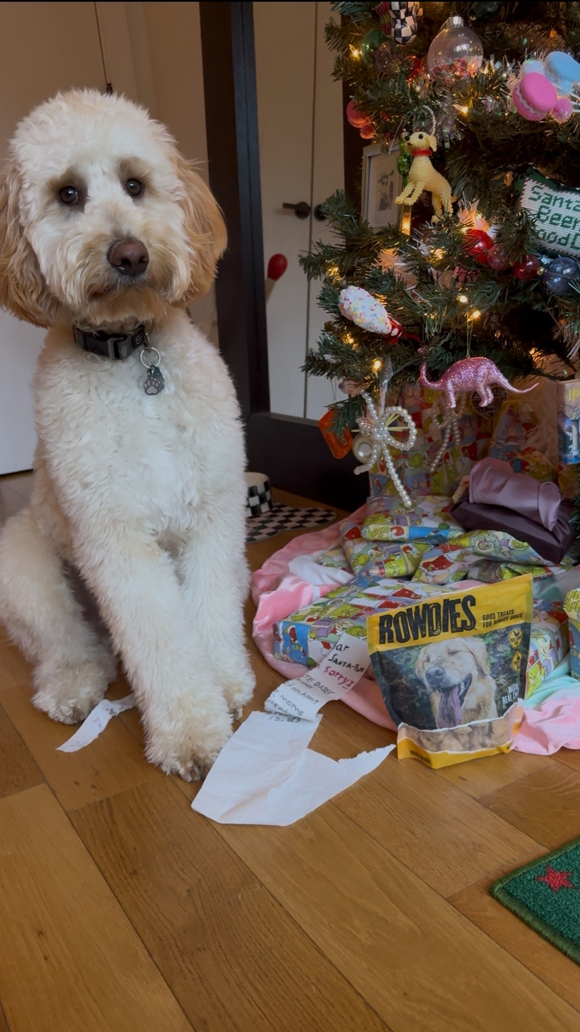 #AD Biscuit is ready to get ROWDIE! 🐶

#RowdiesDogTreats #RowdiesPartner #GetRowdies #TargetPartner #Target