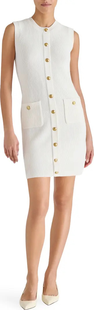 Steve Madden Mitsy Sleeveless Rib Sweater Dress | Nordstrom | Nordstrom