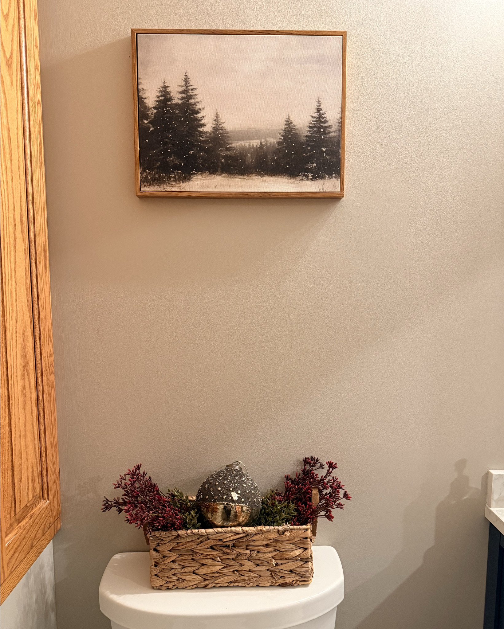 Winter and Christmas wall art found on Amazon. Both photos I used in my bathrooms  

#LTKSeasonal #LTKHome #LTKHoliday