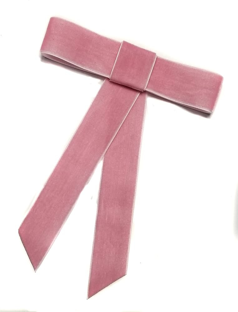 Large Velvet Hair Bow Collection (Barrette, Dusty Rose) | Amazon (US)
