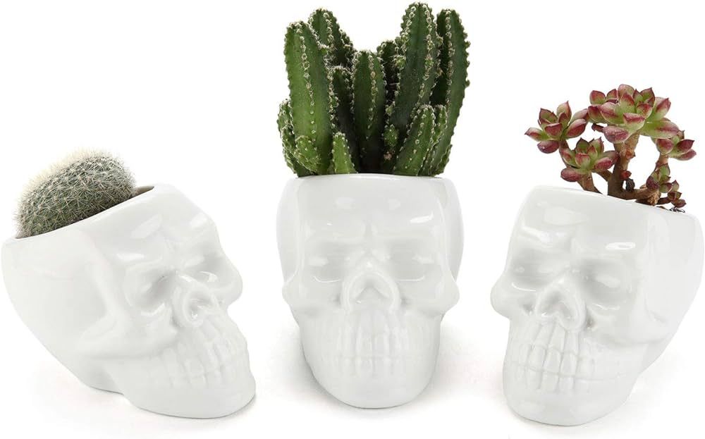 Amazon.com: T4U White Ceramic Skull Shaped Succulent Planter Pots Set of 3, Cute Cactus Plant Pot... | Amazon (US)
