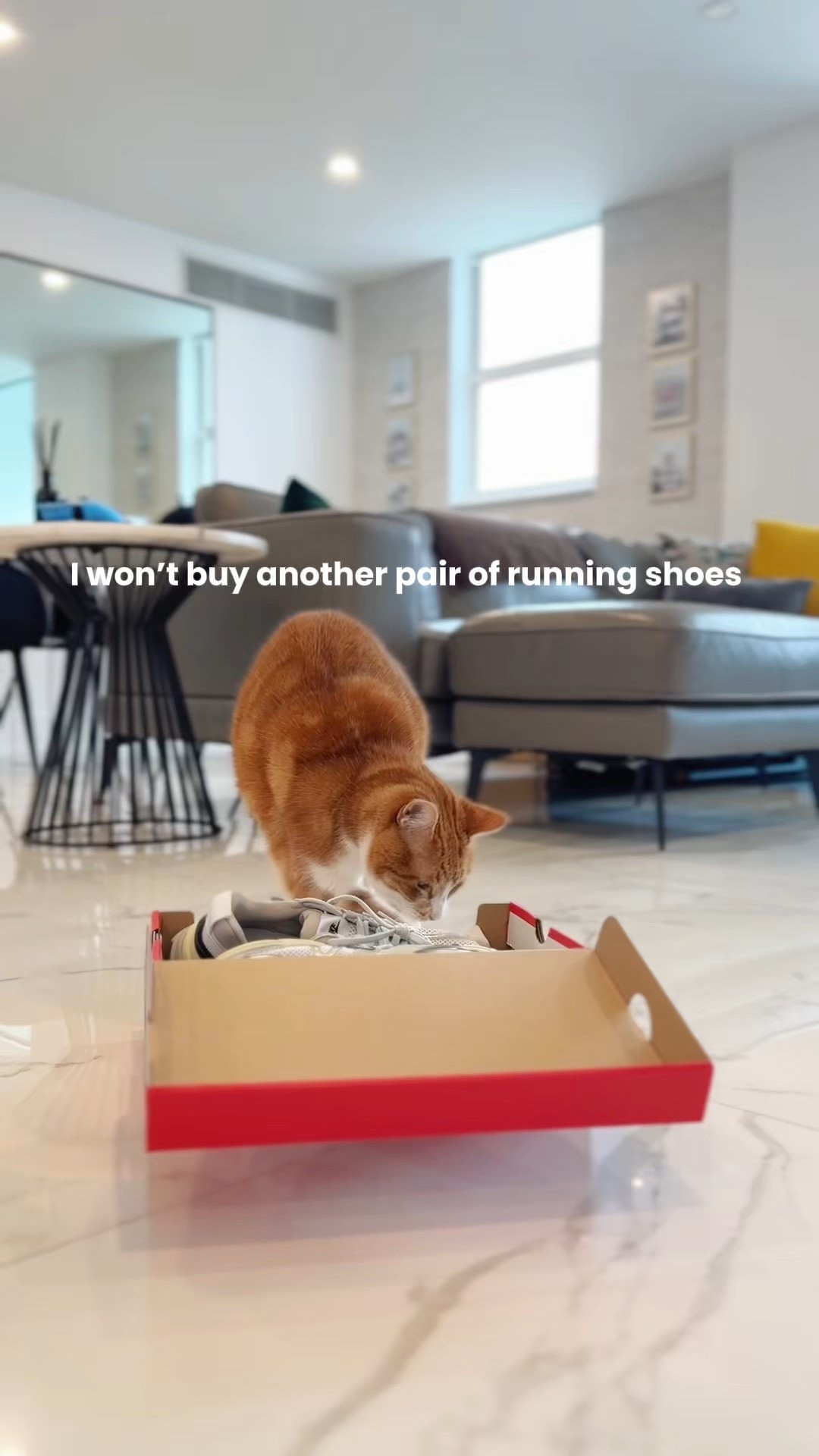 Non-running shoe purchase and I love it 😻 kitty-approved too 

#LTKActive #LTKGiftGuide #LTKfitnessgoals