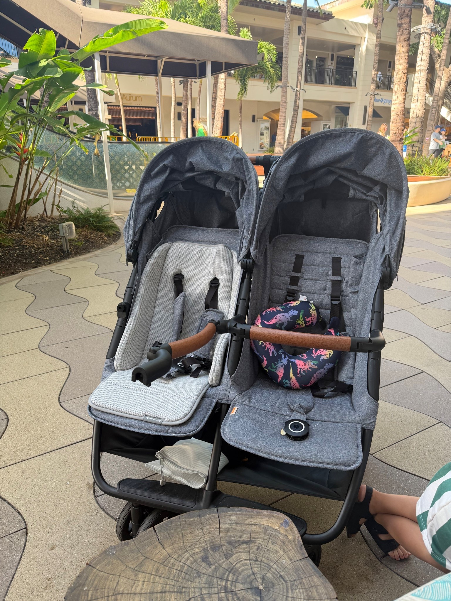 our travel stroller system for 2 kids. Nora is 6 months old so we brought the uppa baby insert and it worked great to keep her a little extra snug and comfy 

#LTKBaby #LTKTravel #LTKmomlife