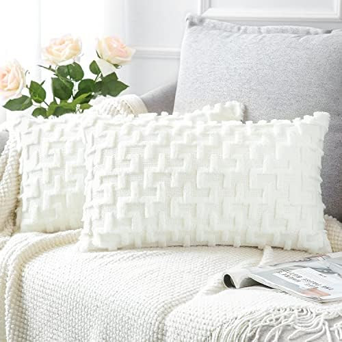 OTOSTAR Pack of 2 Soft Plush Short Wool Velvet Decorative Throw Pillow Covers Luxury Style Cushion C | Amazon (US)