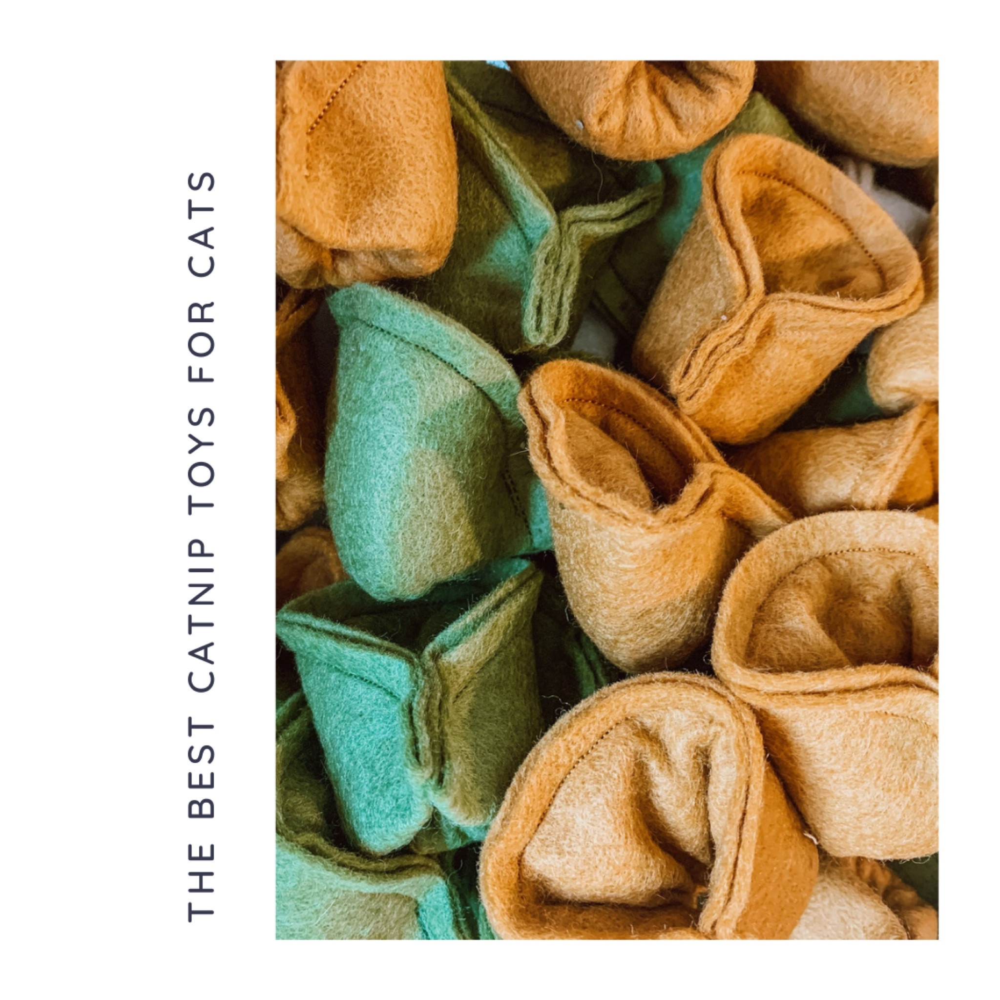 Your cat will thank you for providing them with these superior catnip toys! My cats are connoisseurs of catnip. All three are fans of catnip toys, and they have been pretty much since they were kittens. We’ve tried all kinds of catnip — loose nip, sprays, kicker toys, etc. Check out the best catnip toys and products according to my cats here!


#LTKhome #LTKfamily #LTKFind