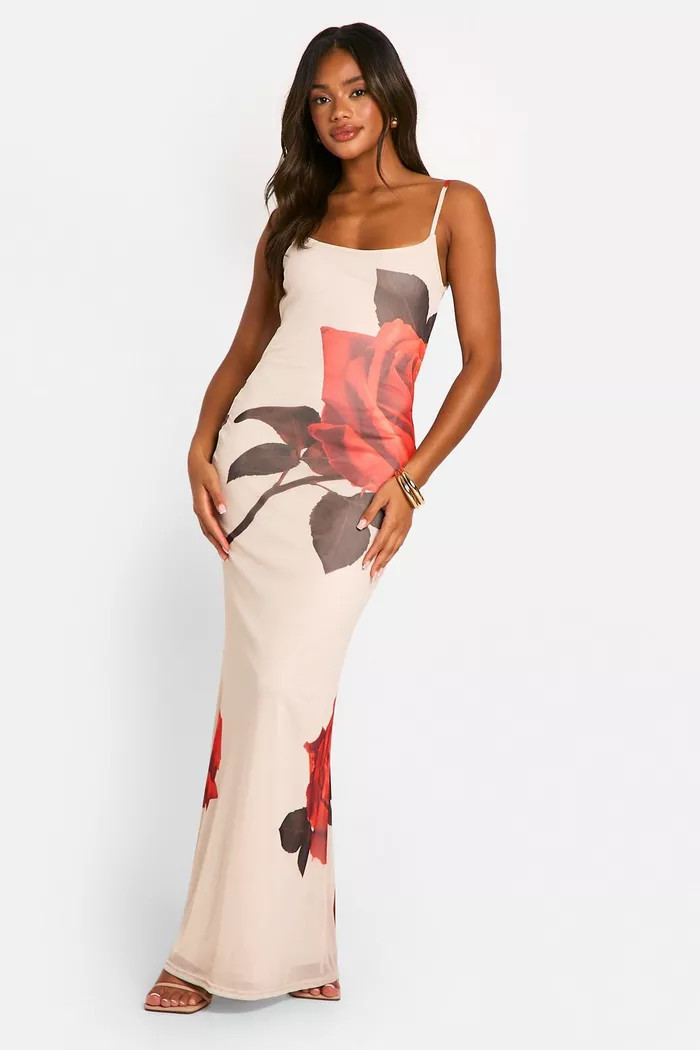 Mesh Rose Print Tie Back Maxi Dress | Boohoo.com (UK & IE)