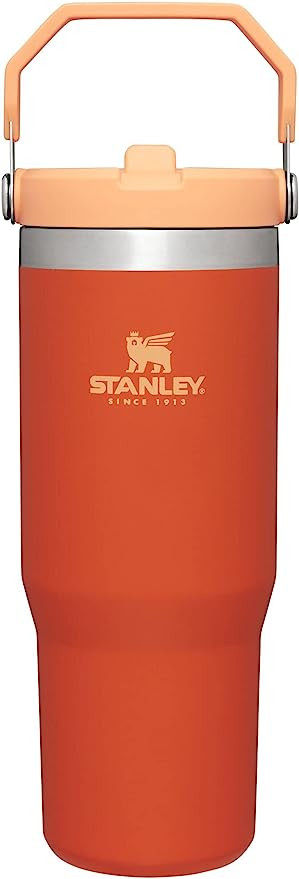 STANLEY IceFlow Stainless Steel Tumbler with Straw, Vacuum Insulated Water Bottle for Home, Offic... | Amazon (US)
