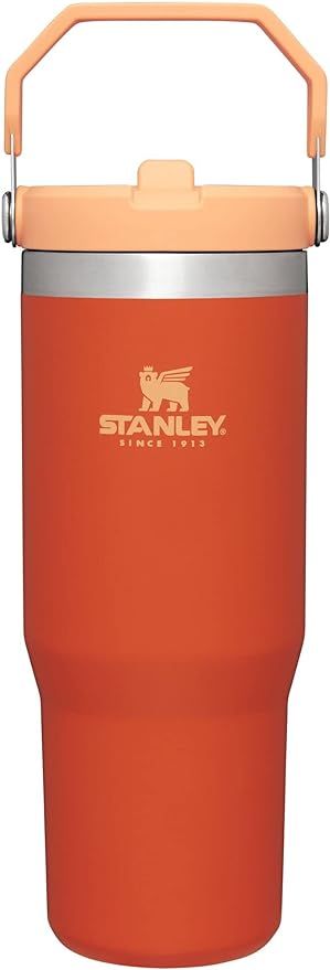 STANLEY IceFlow Stainless Steel Tumbler with Straw, Vacuum Insulated Water Bottle for Home, Offic... | Amazon (US)