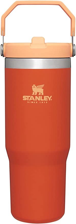 STANLEY IceFlow Stainless Steel Tumbler with Straw, Vacuum Insulated Water Bottle for Home, Offic... | Amazon (US)