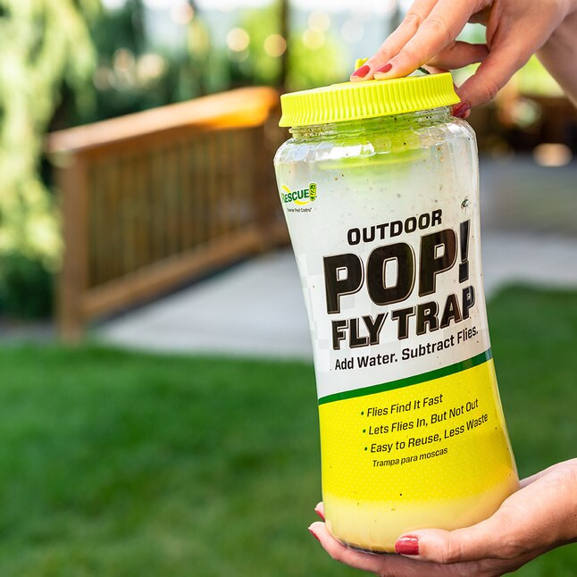 RESCUE! Reusable POP Fly Outdoor Insect trap | Lowe's