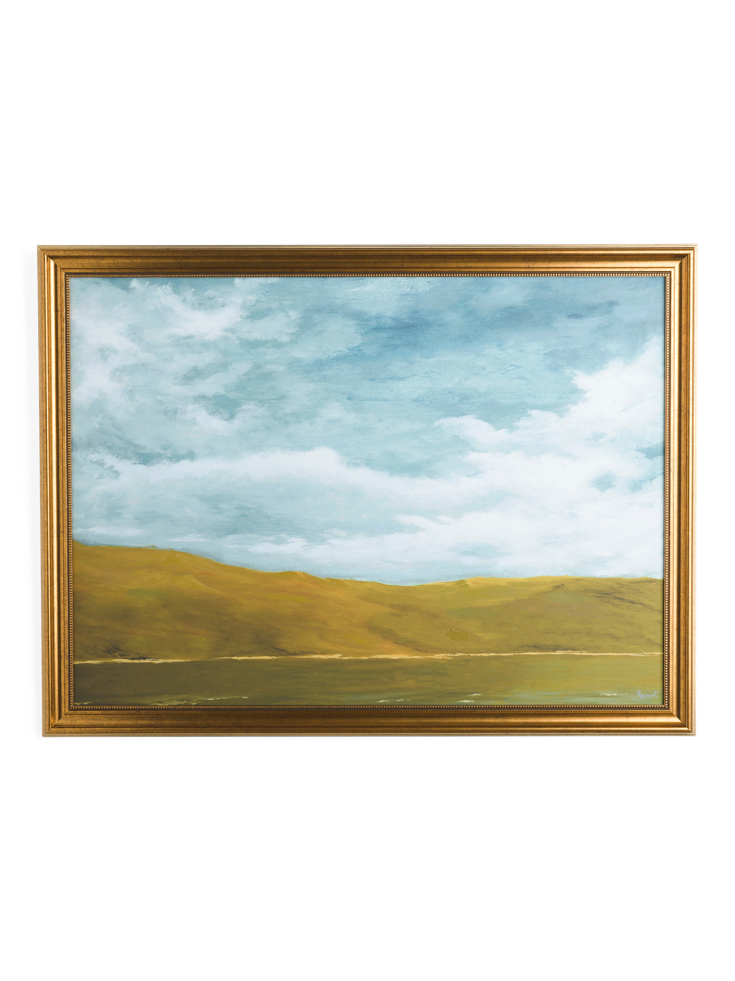 30x40 Field Grass Wall Art | TJ Maxx