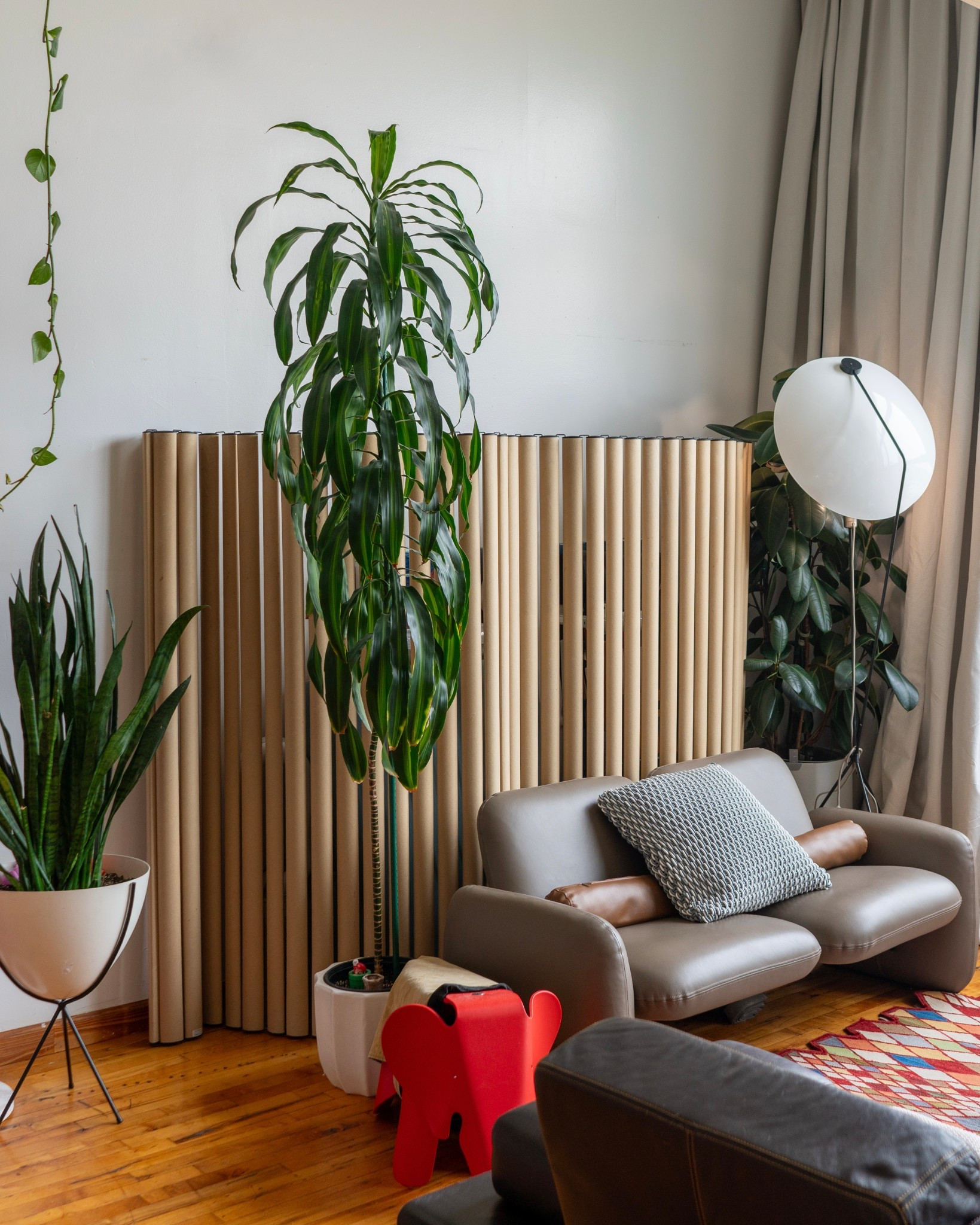 Mid century moment 

#LTKSaleAlert #LTKHome