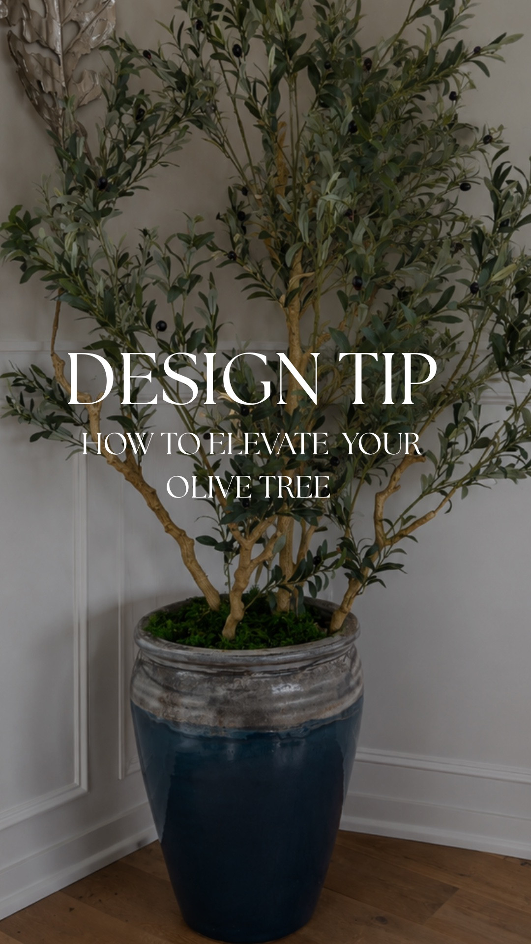 How to elevate an olive tree 🫒

An olive tree is one of the easiest ways to elevate any corner of your home. Styling a faux tree to look high-end is simpler than you’d think. All you need is a statement pot, filler, deer moss, and for an extra elevated touch, add a small light underneath.

#LTKU #LTKSeasonal