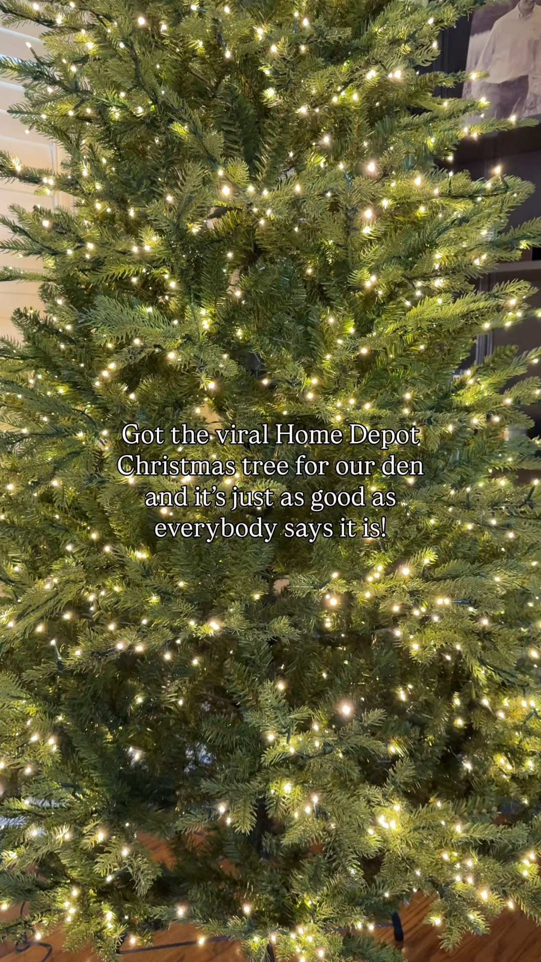 Viral Home Depot Christmas tree!