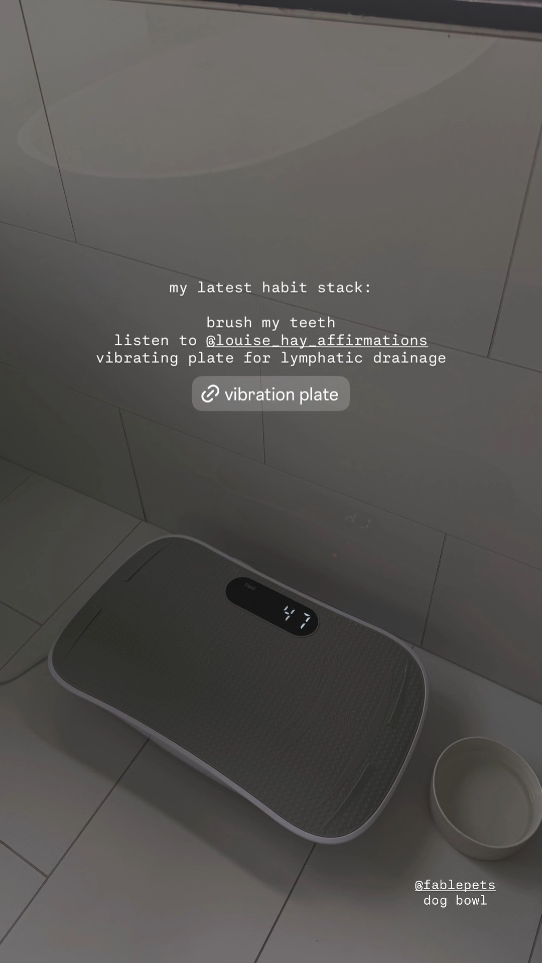 Love this vibrating plate. A part of my habit stack now 

 