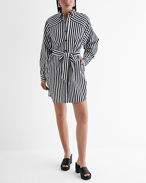 Striped Boyfriend Poplin Mini Portofino Shirt Dress | Express