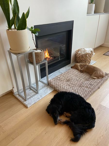 Keeping the fireplace cozy for the pups 🥰 

#LTKSeasonal #LTKhome #LTKfamily