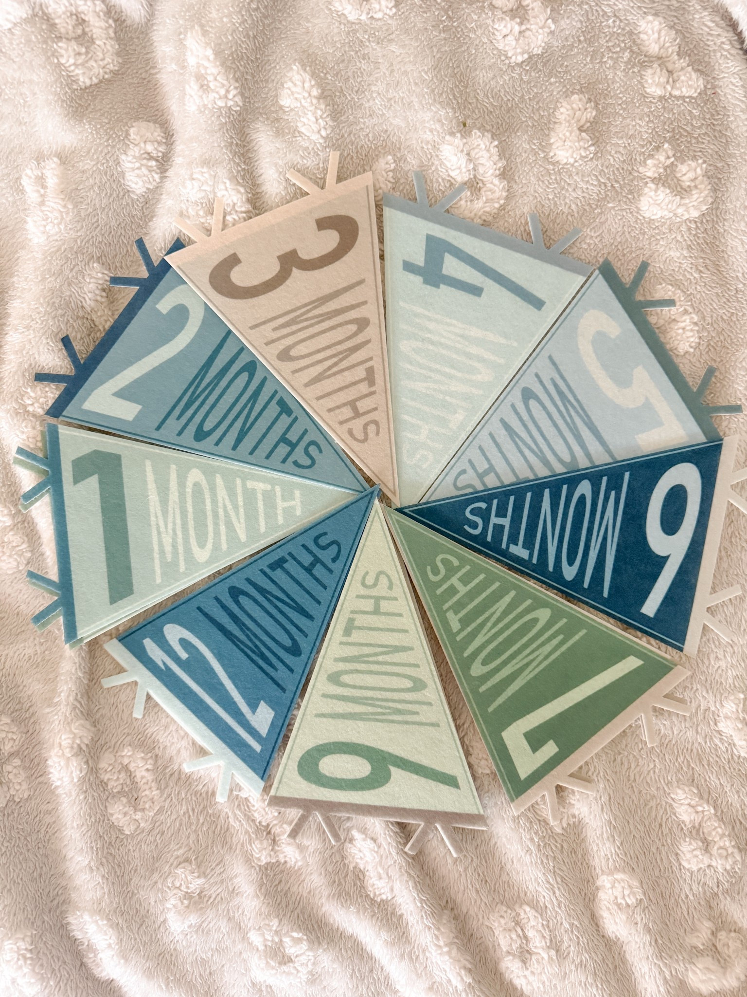 gearing up for baby boy & I got in his monthly milestone flags today 🩵💙 

#LTKBump #LTKmomlife #LTKBaby