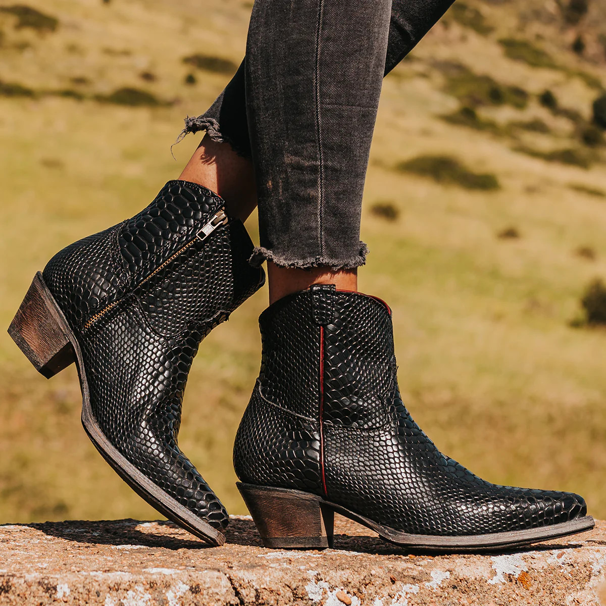 FREEBIRD STORES - MIRAMAR | Freebird Stores