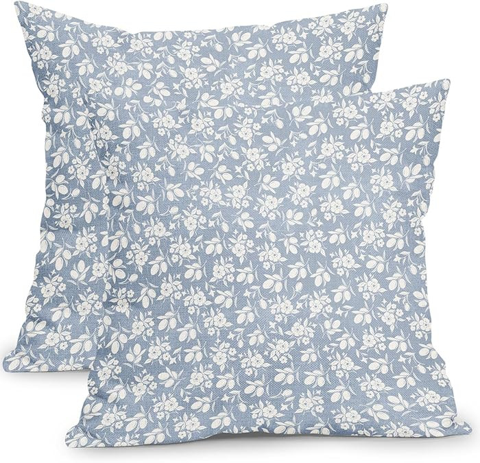 Dusty Blue Block Print Pillow Covers 18x18 Inch Vintage Floral Outdoor Decorative Throw Pillows S... | Amazon (US)