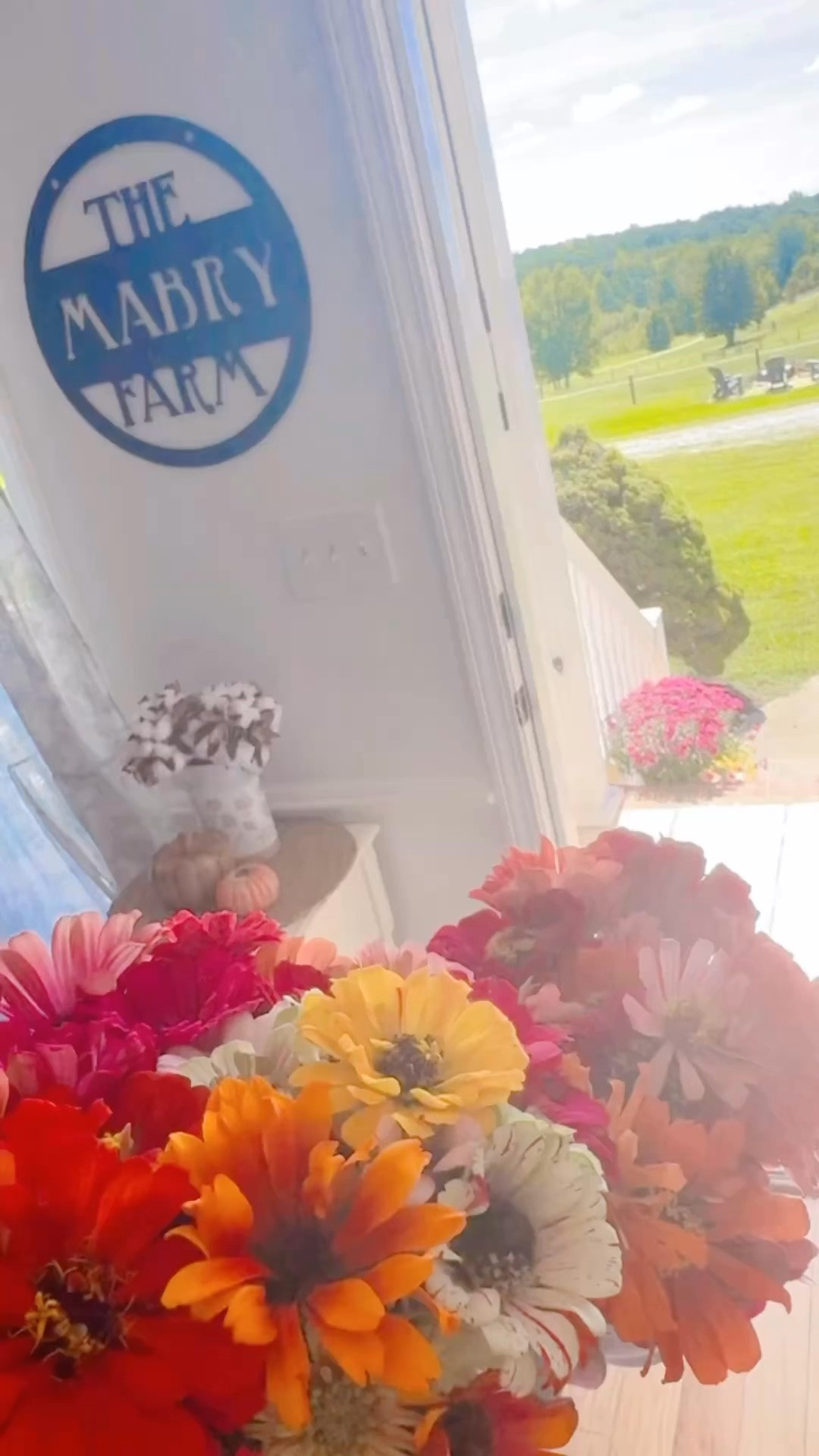 And we’ve had the sweetest little picnic 🧺 lunch and I picked some zinnias 💐 to fill the farmhouse with before we host some sweet friends over for a cookout this afternoon!!! ☀️🫶🏽