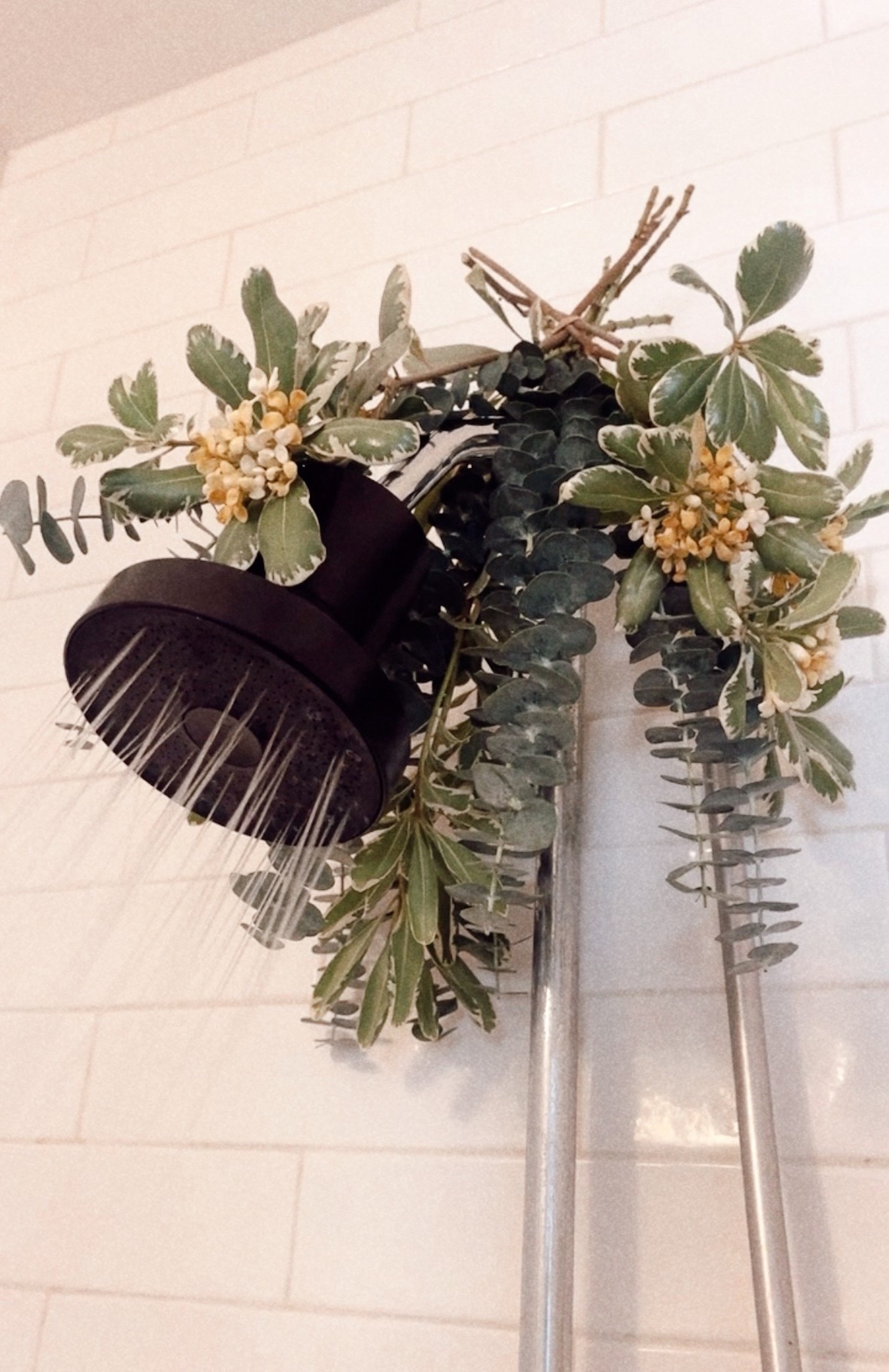 Must Have Jolie

#LTKBeauty #LTKHome