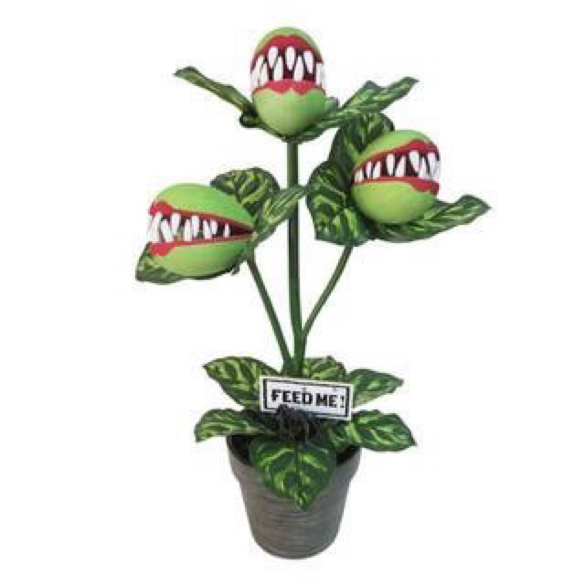 Halloween decor fly traps

#LTKHoliday #LTKHalloween #LTKsalealert
