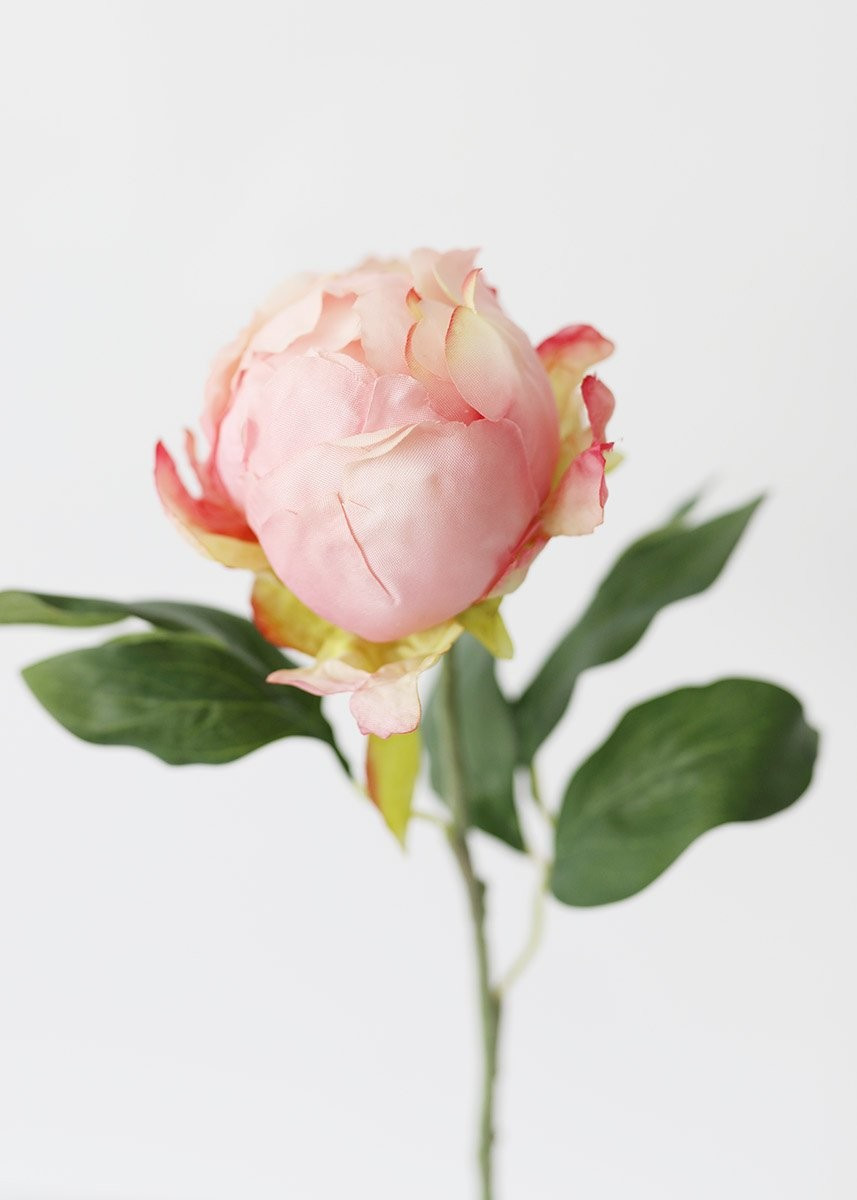 Artificial Flower Peony Bud in Pink - 18" Tall | Afloral (US)