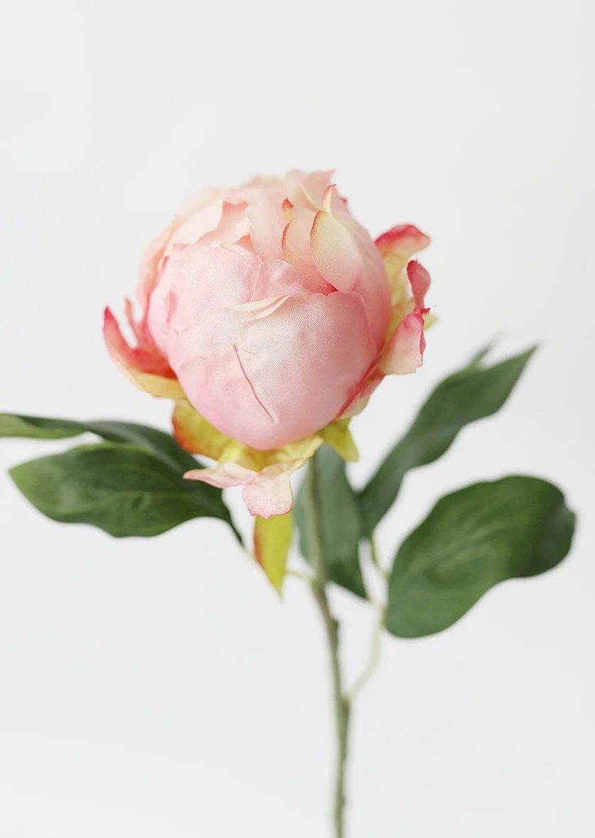 Artificial Flower Peony Bud in Pink - 18" Tall | Afloral (US)