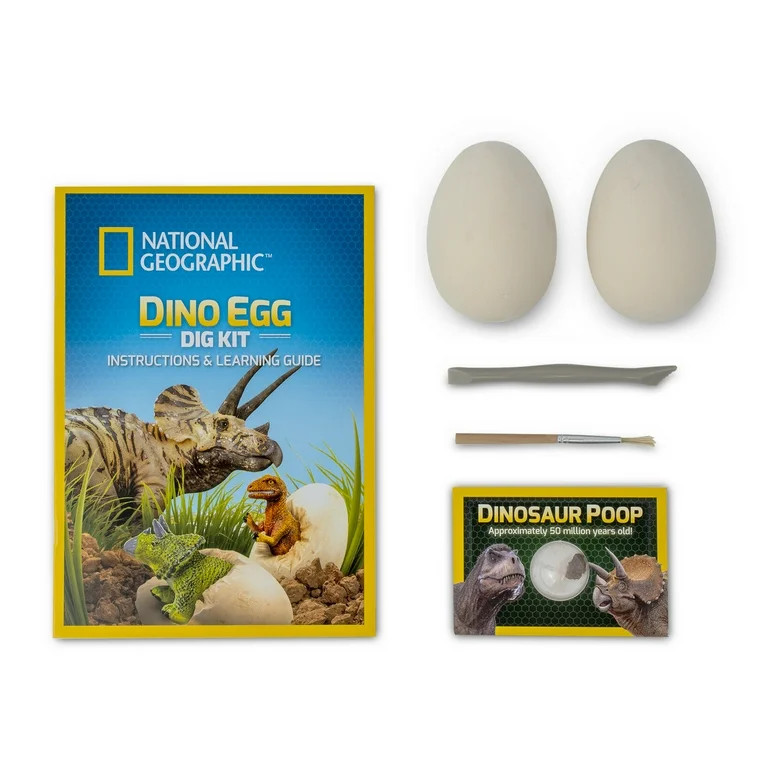National Geographic Dino Egg Dig Kit for Children 8 Years and up | Walmart (US)