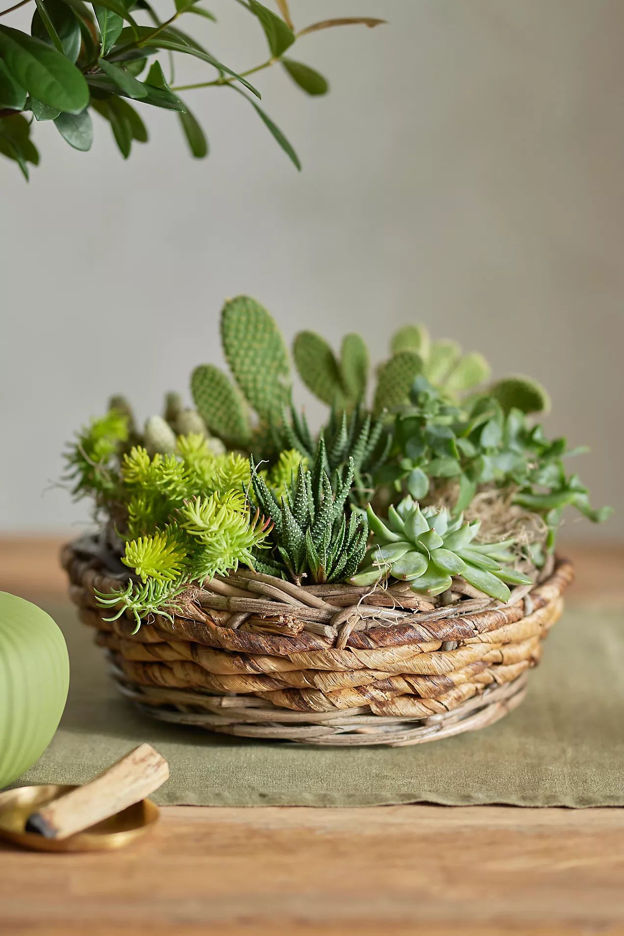 Woven Abaca Basket Planter | Terrain